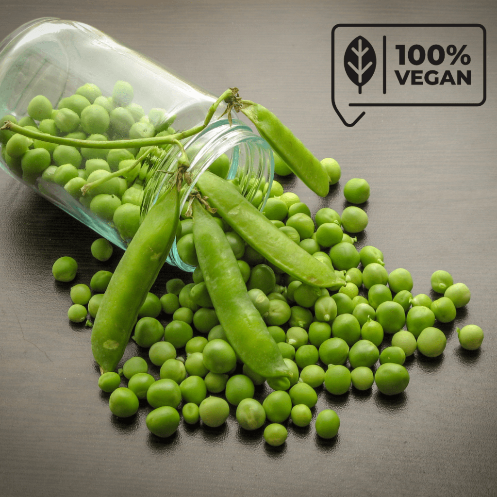 Imagen de garbanzos en un frasco de  vidrio, 100% vegano